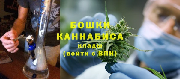 PSILOCYBIN Аркадак