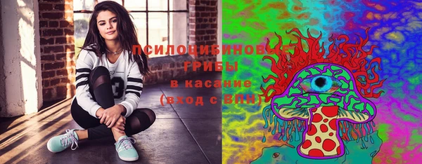 mdpv Арсеньев