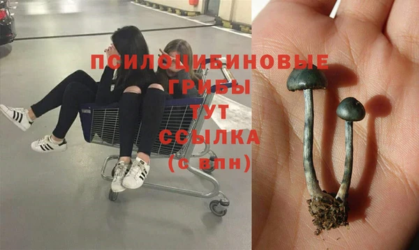 мдпв Армянск