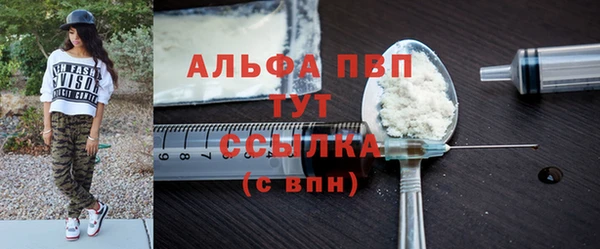 PSILOCYBIN Аркадак