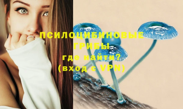 PSILOCYBIN Аркадак